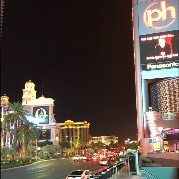 Honeymooning🍯 - Picture 2 of 8